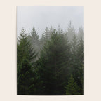 Foggy Trees Pacific Northwest Poster Gallery Image 4