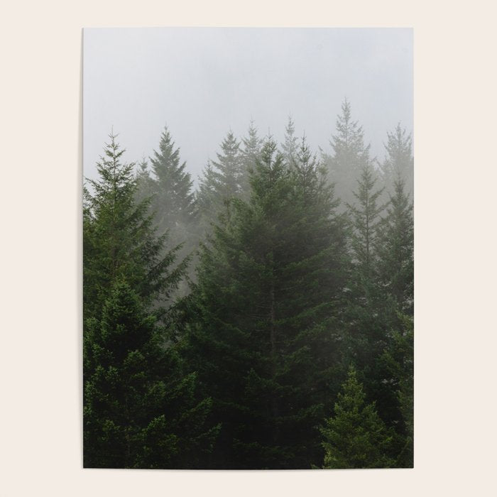 Foggy Trees Pacific Northwest Poster Gallery Image 4