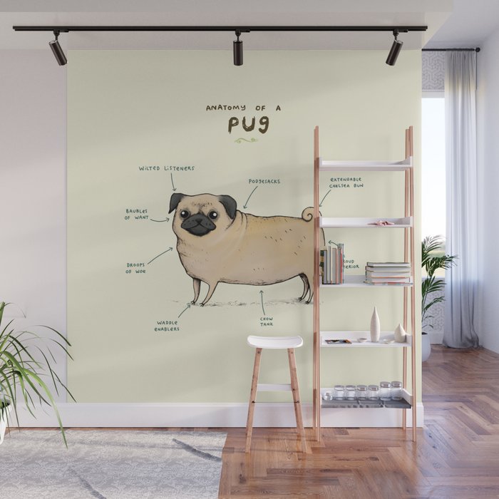 Anatomy of a Pug Wall Mural Gallery Image 1