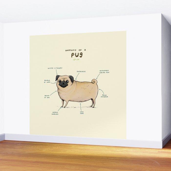 Anatomy of a Pug Wall Mural Gallery Image 2