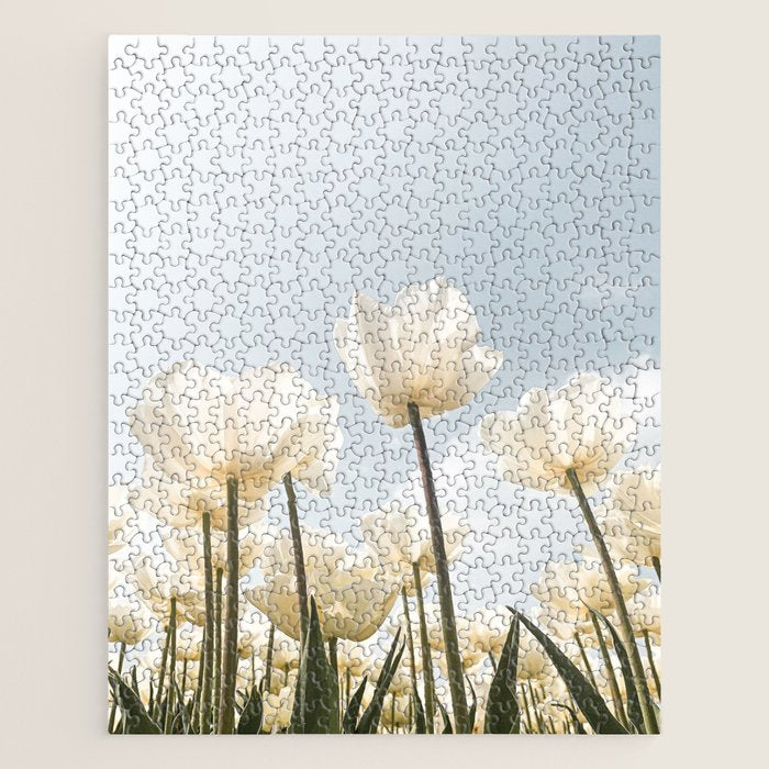 White Tulips In Spring In Holland Photo | Dutch Flowers Art Print |  Europe Travel Photography Jigsaw Puzzle Gallery Image 1
