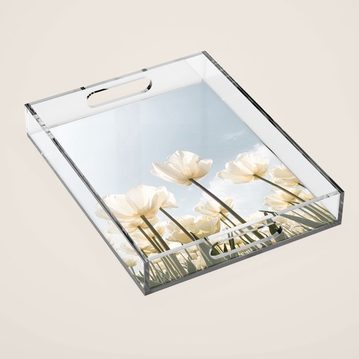White Tulips In Spring In Holland Photo | Dutch Flowers Art Print |  Europe Travel Photography Acrylic Tray Gallery Image 1