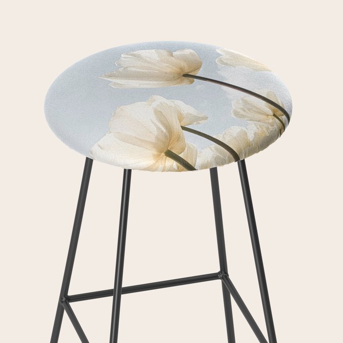 White Tulips In Spring In Holland Photo | Dutch Flowers Art Print |  Europe Travel Photography Stool Gallery Image 2
