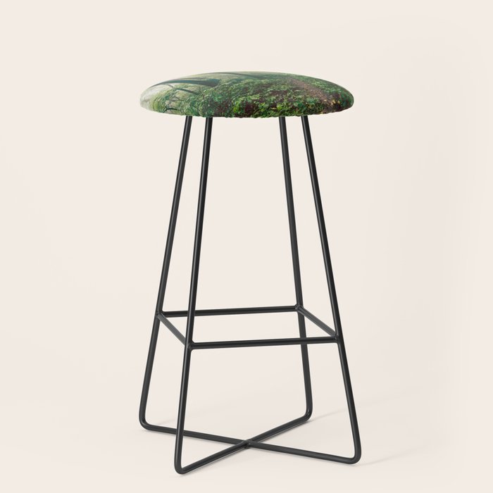 Smoky Mountain Forest Adventure - National Park Nature Photography Stool Gallery Image 1
