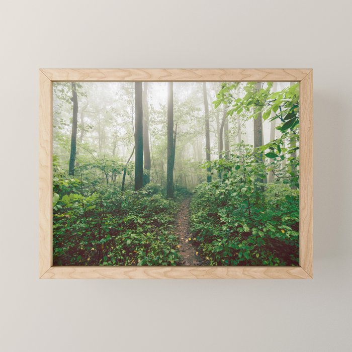 Smoky Mountain Forest Adventure - National Park Nature Photography Mini Art Print Gallery Image 1