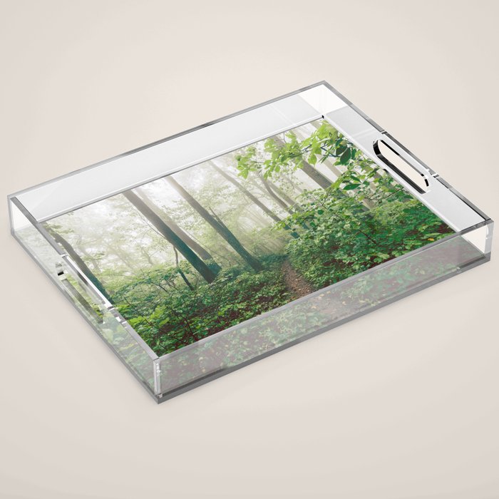Smoky Mountain Forest Adventure - National Park Nature Photography Acrylic Tray Gallery Image 1