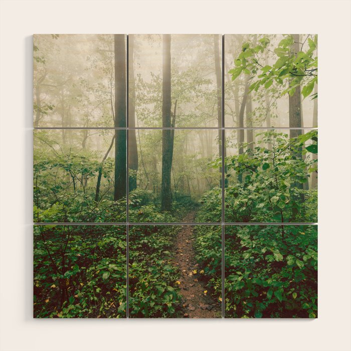 Smoky Mountain Forest Adventure - National Park Nature Photography Wood Wall Art Gallery Image 1