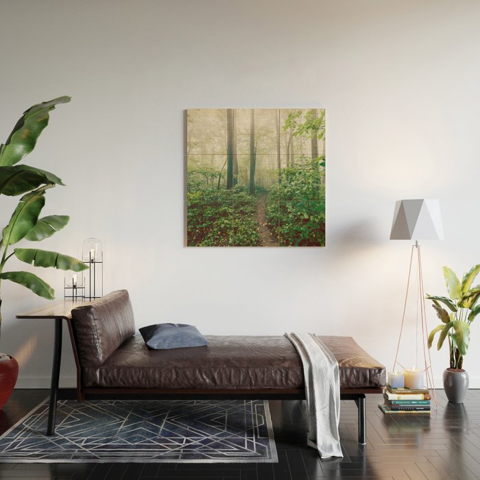 Smoky Mountain Forest Adventure - National Park Nature Photography Wood Wall Art Gallery Image 2