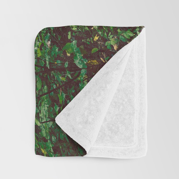 Smoky Mountain Forest Adventure - National Park Nature Photography Throw Blanket Gallery Image 3