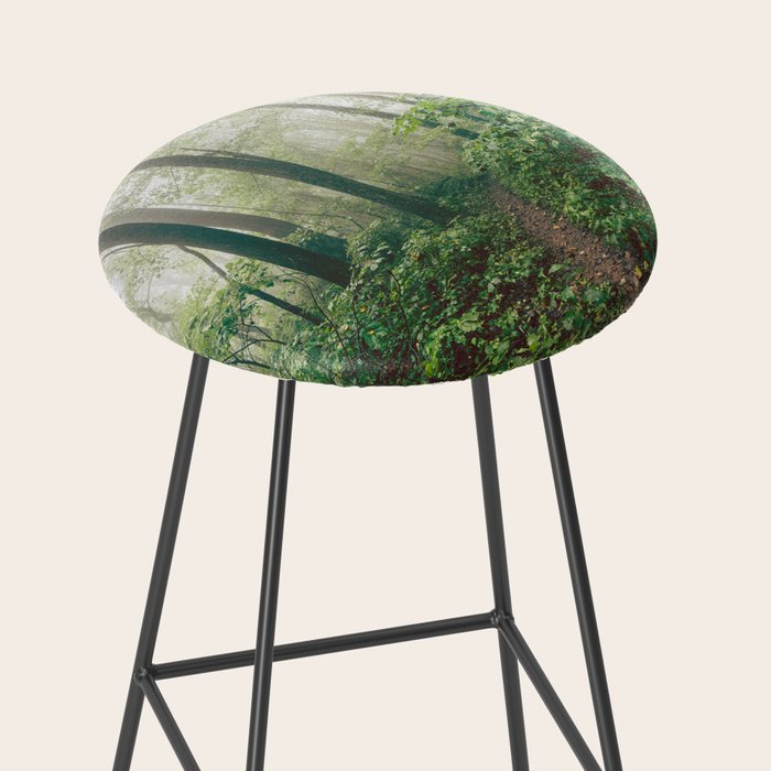 Smoky Mountain Forest Adventure - National Park Nature Photography Stool Gallery Image 2