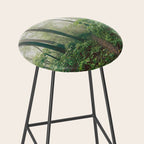 Smoky Mountain Forest Adventure - National Park Nature Photography Stool Gallery Image 2