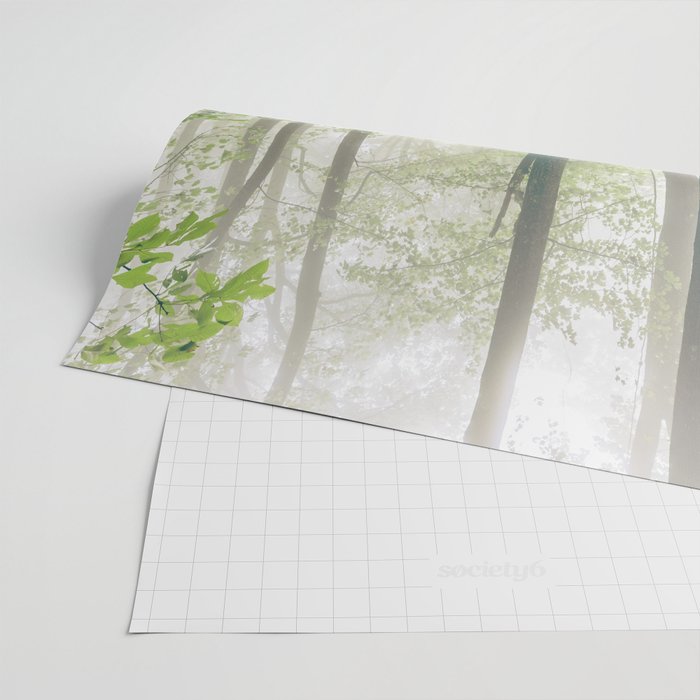 Smoky Mountain Forest Adventure - National Park Nature Photography Wrapping Paper Gallery Image 2