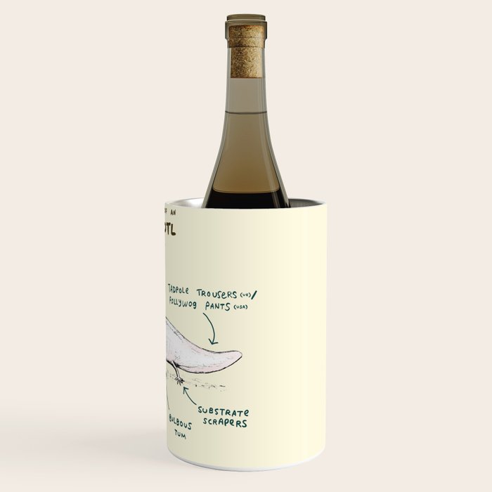 Anatomy of an Axolotl Wine Chiller Gallery Image 3