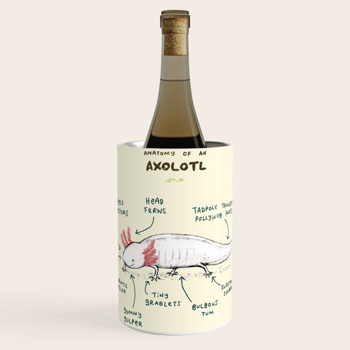 Anatomy of an Axolotl Wine Chiller Gallery Image 1
