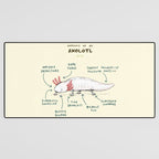 Anatomy of an Axolotl Desk Mat Gallery Image 3