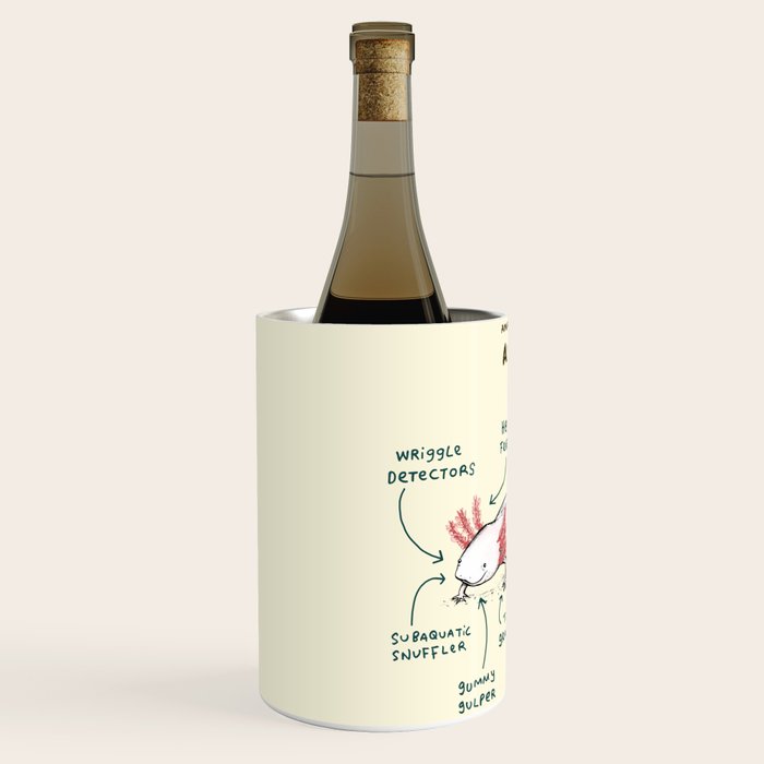Anatomy of an Axolotl Wine Chiller Gallery Image 2