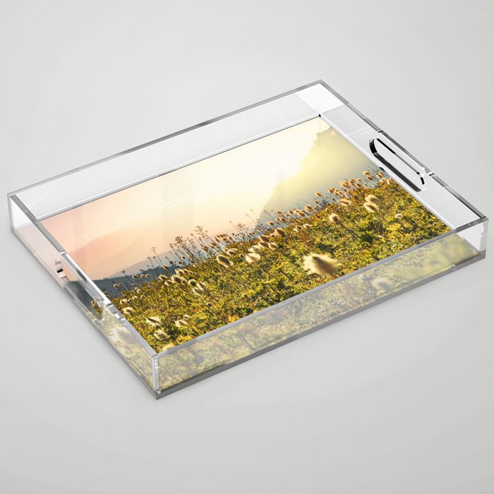 Wildflower Explosion - Mount Rainier National Park Acrylic Tray Gallery Image 1
