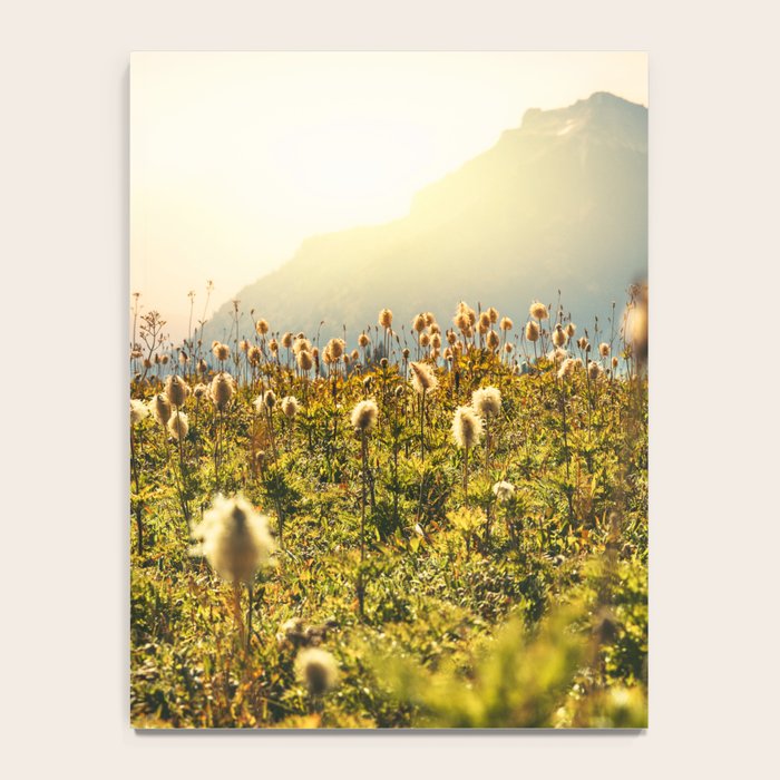 Wildflower Explosion - Mount Rainier National Park Notebook Gallery Image 4