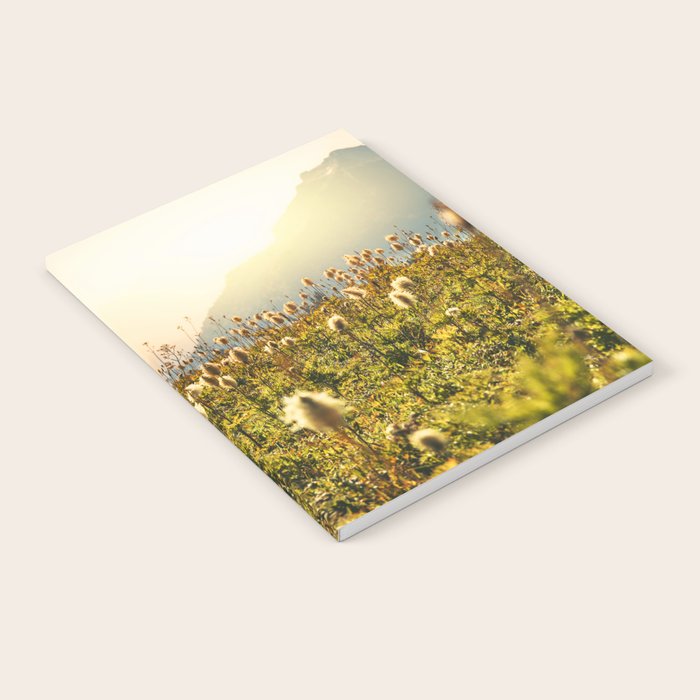 Wildflower Explosion - Mount Rainier National Park Notebook Gallery Image 1