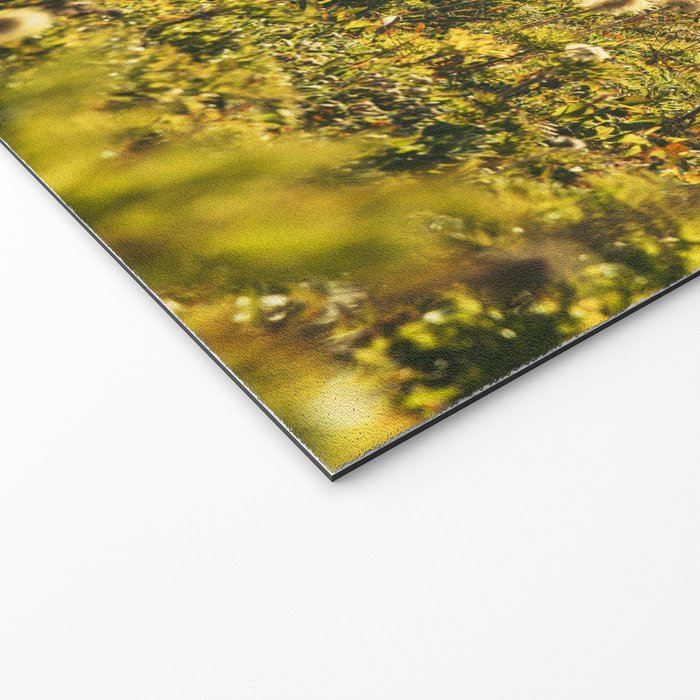 Wildflower Explosion - Mount Rainier National Park Welcome Mat Gallery Image 2