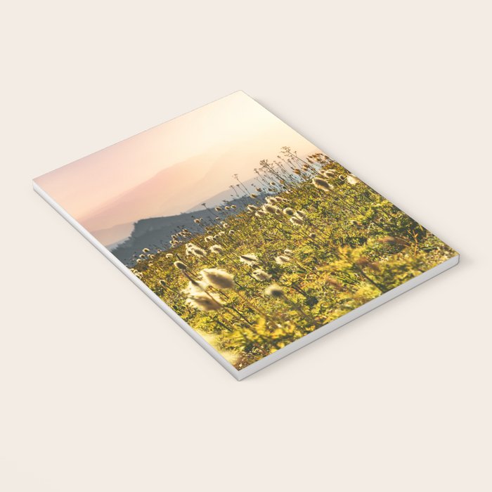 Wildflower Explosion - Mount Rainier National Park Notebook Gallery Image 3