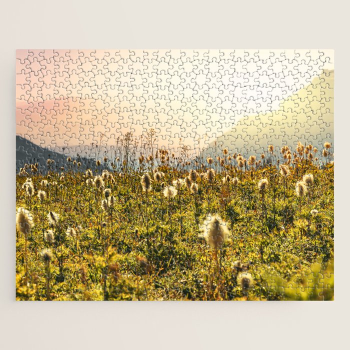 Wildflower Explosion - Mount Rainier National Park Jigsaw Puzzle Gallery Image 1