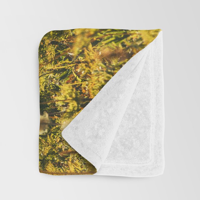 Wildflower Explosion - Mount Rainier National Park Throw Blanket Gallery Image 3