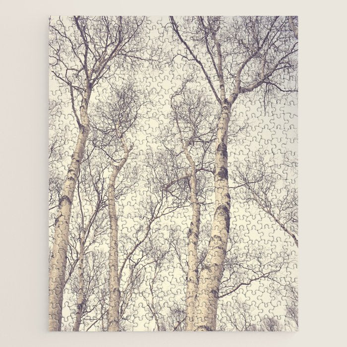 Winter Birch Trees - Scandinavian decor nature photograph Jigsaw Puzzle Gallery Image 1