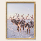 REINDEER PORTRAIT Serving Tray Gallery Image 1