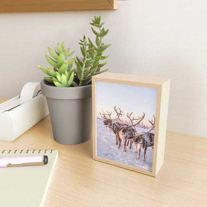 REINDEER PORTRAIT Mini Art Print Gallery Image 2