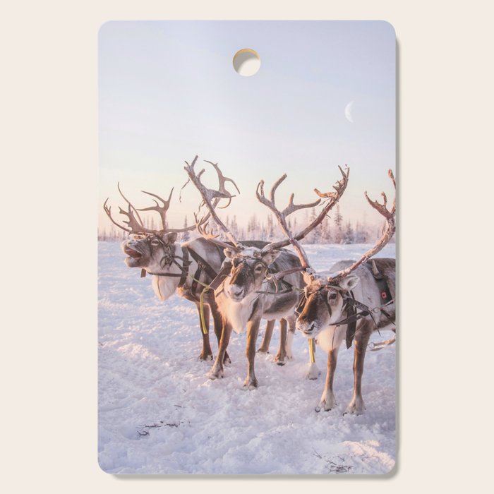 REINDEER PORTRAIT Cutting Board Gallery Image 1