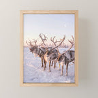 REINDEER PORTRAIT Mini Art Print Gallery Image 1