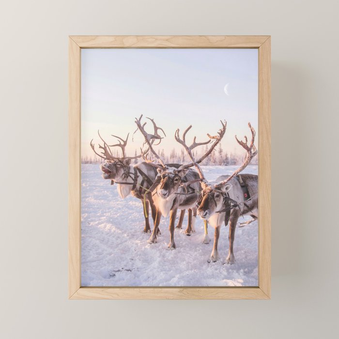 REINDEER PORTRAIT Mini Art Print Gallery Image 1
