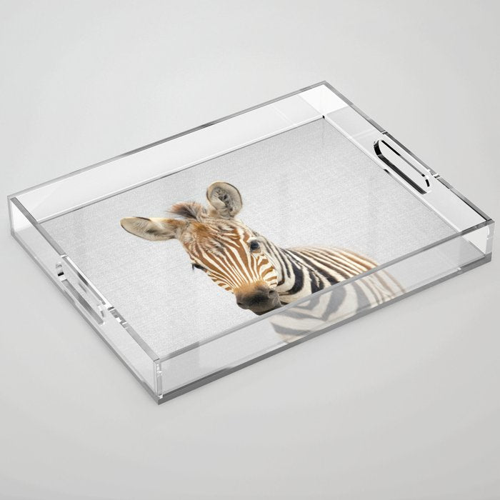 Baby Zebra - Colorful Acrylic Tray Gallery Image 1