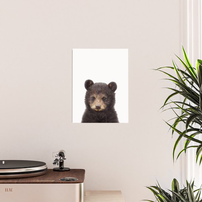 Baby Bear, Bear Cub, Kids Art, Baby Animals Art Print By Synplus Poster Gallery Image 2