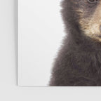 Baby Bear, Bear Cub, Kids Art, Baby Animals Art Print By Synplus Poster Gallery Image 3