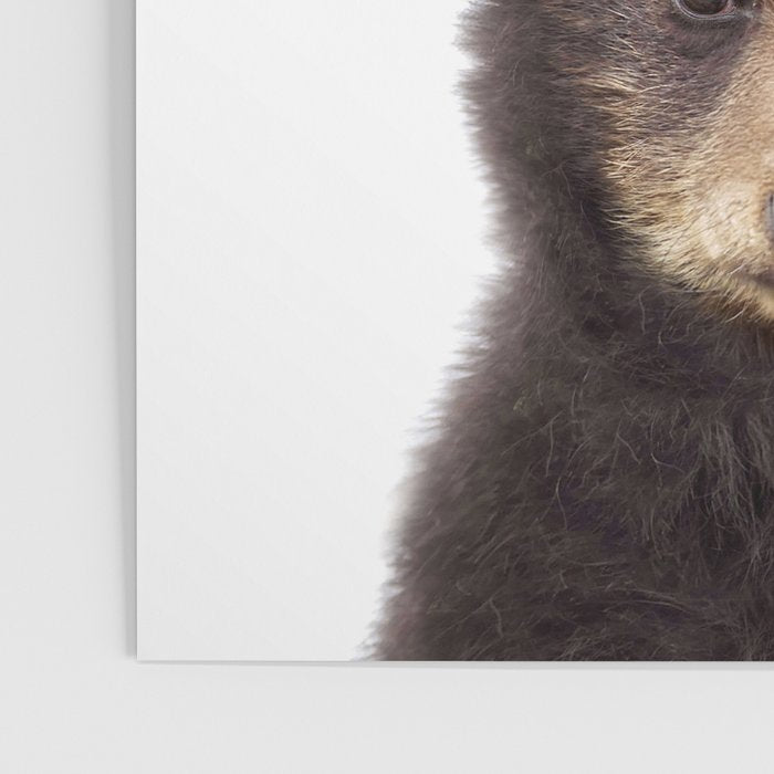 Baby Bear, Bear Cub, Kids Art, Baby Animals Art Print By Synplus Poster Gallery Image 3
