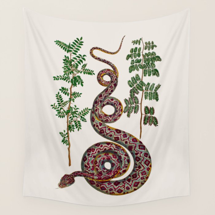 Mimosa Snake Seba Albertus Wall Tapestry Gallery Image 4