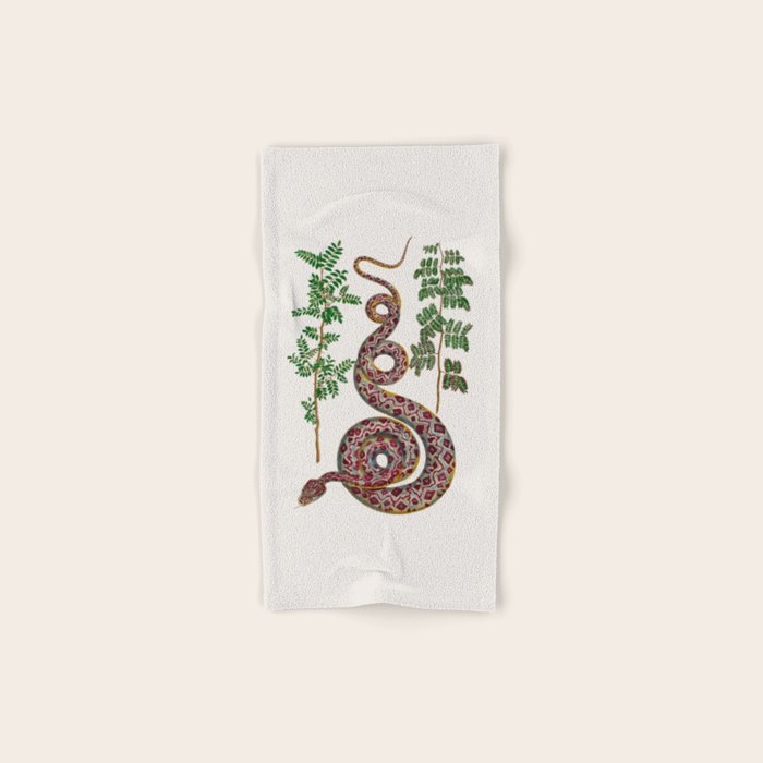 Mimosa Snake Seba Albertus Bath Towel Gallery Image 1