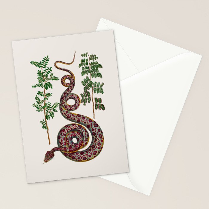 Mimosa Snake Seba Albertus Stationery Card Gallery Image 2