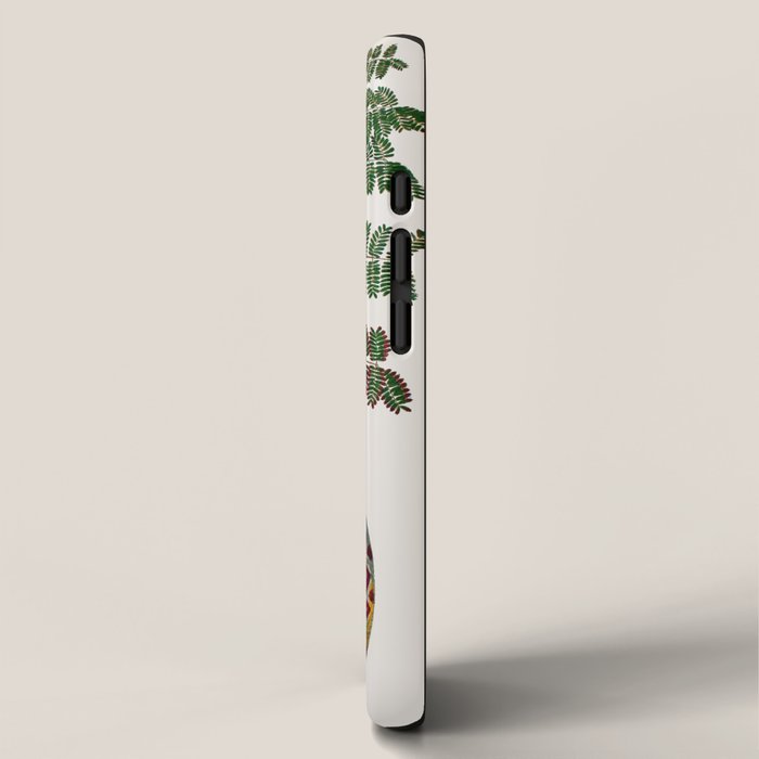 Mimosa Snake Seba Albertus iPhone Case Gallery Image 2