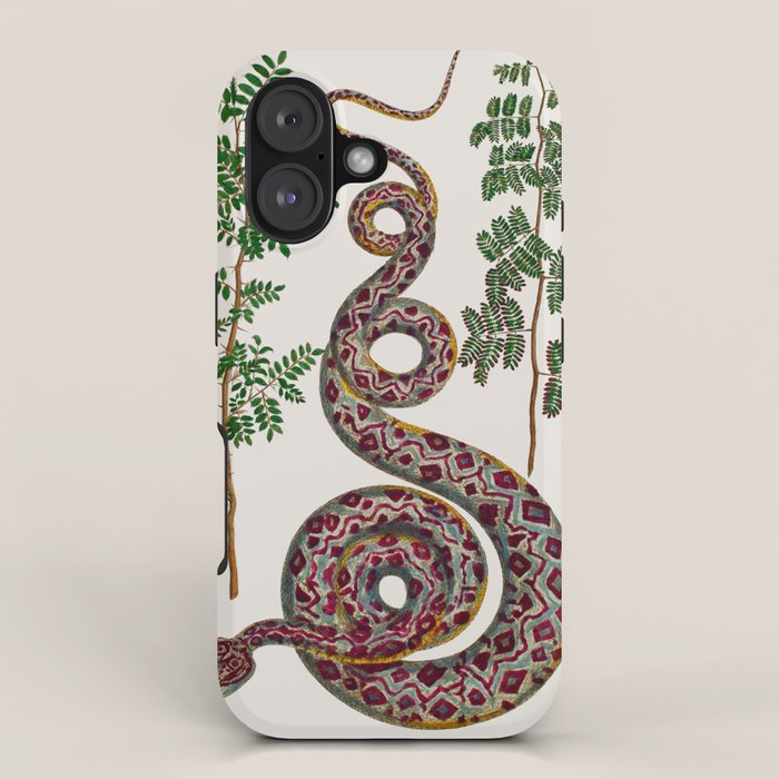 Mimosa Snake Seba Albertus iPhone Case Gallery Image 1