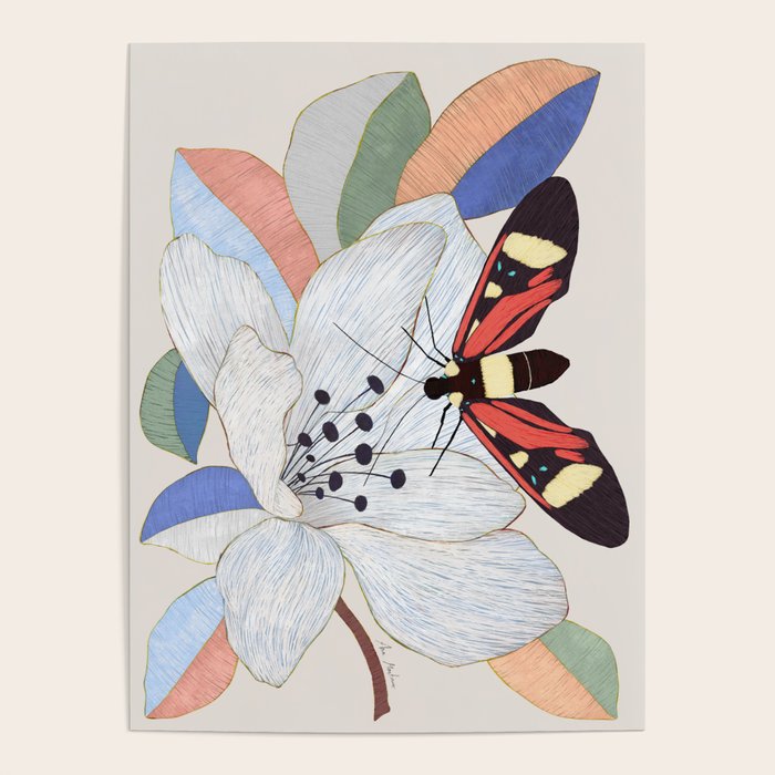 Magnolia flower and insect Poster Gallery Image 1