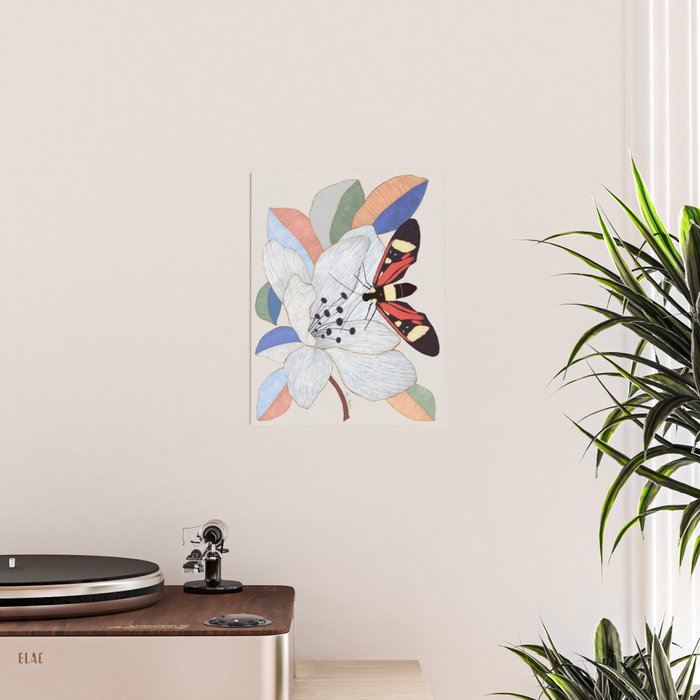 Magnolia flower and insect Poster Gallery Image 2