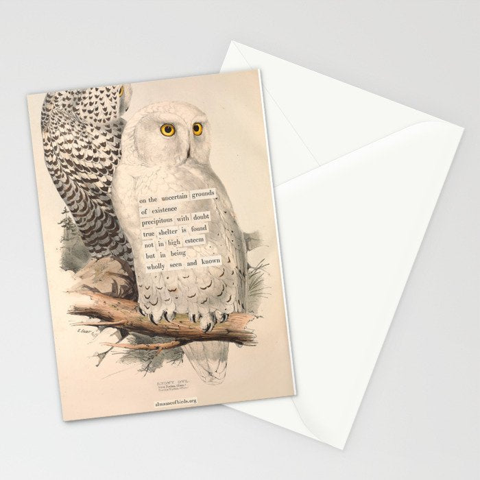 Bird Divinations: Snowy Owl (about: almanacofbirds.org) Stationery Card Gallery Image 2