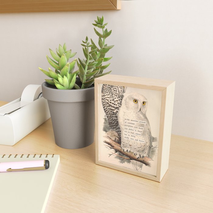 Bird Divinations: Snowy Owl (about: almanacofbirds.org) Mini Art Print Gallery Image 2