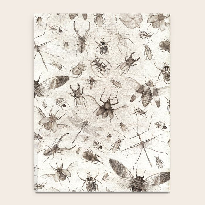 Insects Notebook Gallery Image 4