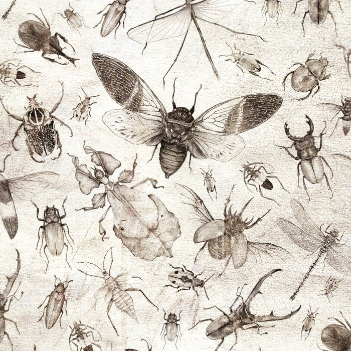 Insects Coffee Mug Gallery Image 2
