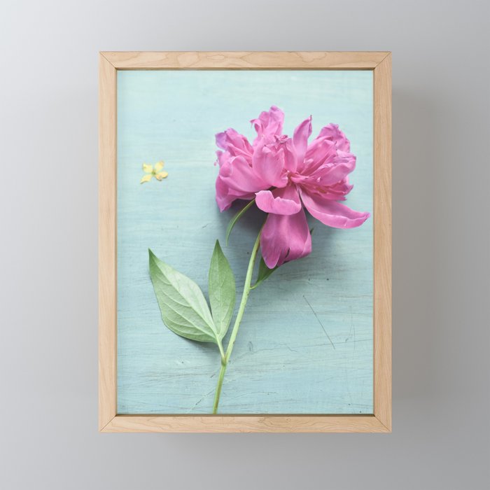 Happy Peony spring still life flower photography Mini Art Print Gallery Image 1