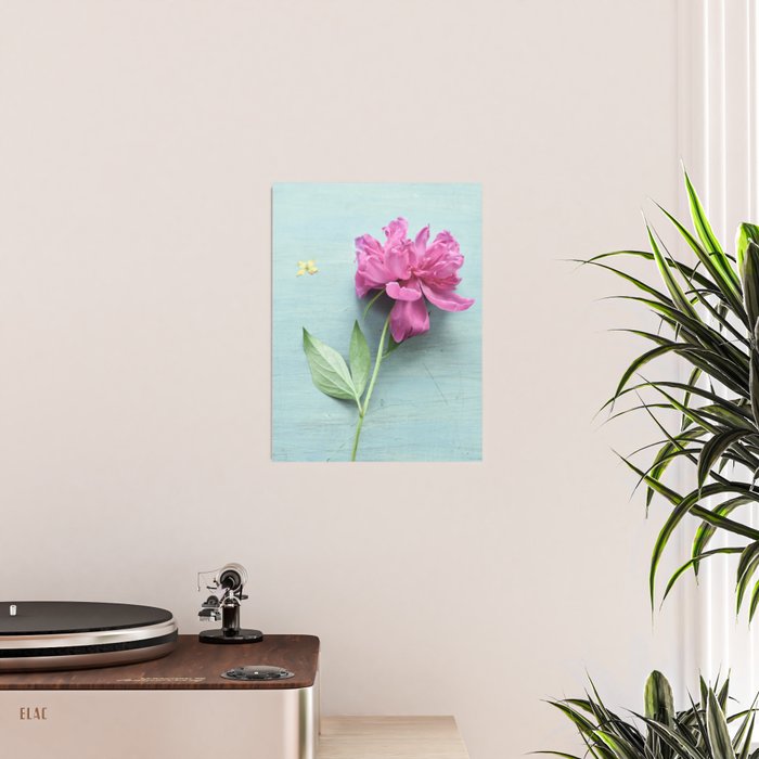 Happy Peony spring still life flower photography Poster Gallery Image 2
